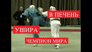 ?Техника удара Уширо-гери ?(Spinning back kick) ?от чемпиона мира по Кудо ?