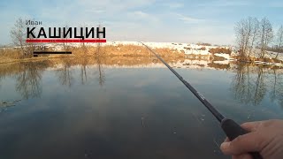 Ловля Щуки. Воблеры Megabass. #LiveSL N4.