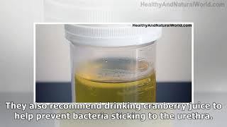 White Stuff or Particles in Urine: What It Means and What To Do