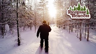 ПОЕЗДКА В ИЗБУ ? В ТАЙГУ НА МОТОБУКСИРОВЩИКЕ УРАГАН ?