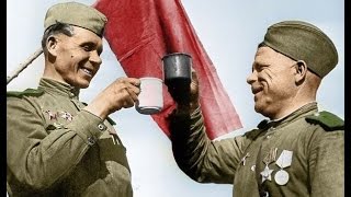 Наш тост за Родину и Сталина!