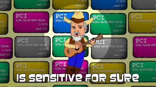 PCI Data Security Standards Rock