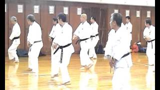 Bushinkan in Japan 2012