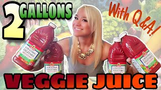 2 GALLONS VEGETABLE JUICE CHUG | GIRL DRINKS 7.5+ LITERS TOMATO V8 COCKTAIL | + MIKI SUDO Q&A W NICK