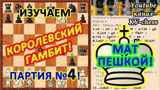 Жертва ферзя и мат пешкой! Королевский гамбит - шахматная ловушка 4!