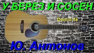 У берез и сосен (Ю. Антонов) Demid 4k