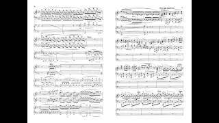 Brahms Piano Concerto no 1 - Sokolov - With Score - Live