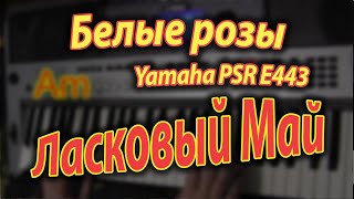 Белые розы. Аккорды. Yamaha PSR E443