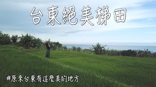 長濱在地人才知道！台東的絕美梯田秘境！｜林宣 Xuan Lin
