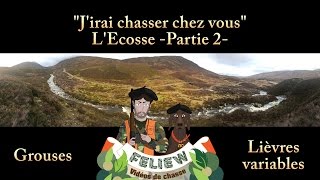 J'irai chasser chez vous: l'Ecosse, 2ème partie : chasse à la grouse et au lièvre variable!