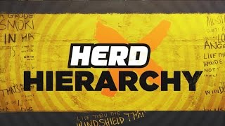 Herd Hierarchy: Colin's Top 10 NFL Teams after Week 9 | THE HERD