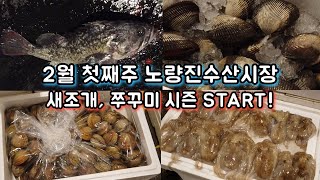 2월 첫째주 노량진수산시장 경매장 최신동향!! 겨울 최강 가성비 수산물은?