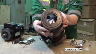 Разборка и Сравнение Насосов Grundfos CR3-10 и CNP CDL3-10