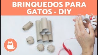 4 brinquedos para gatos com rolos de papel