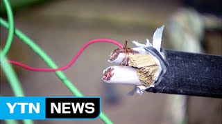 공사 현장 전선 33km 훔쳐...6억여 원 피해 / YTN