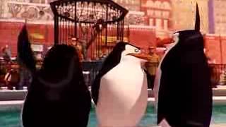 Смешной перевод мадагаскар 3