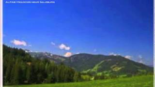 W. A. Mozart - Concerto for Flute & Harp in C Major, K. 299 - 2. Andantino