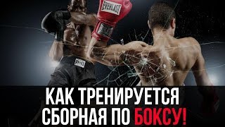 Сборная Украины по боксу. Открытая тренировка перед выездом на чемпионат мира 2015. 30/09/2015