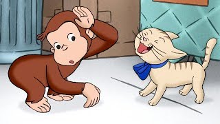 George O Curioso ? Gnocchi Critica ?Episódio Completo ? Desenhos Animados