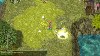 Ragnarok Magic Mushroom Effect