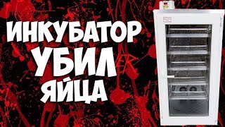 Инкубатор раздавил и убил яйца