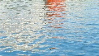 Футаж Поверхность Воды. Вода видео. Поверхность воды, отражение на поверхности воды