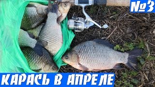 Крупный карась весной на донку (соска убийца карася)
