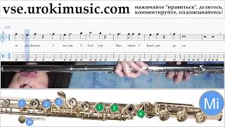 Как играть на флейте Celine Dion - Titanic - My Heart Will Go On Табы часть 2 um-b821