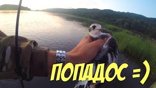 Необычный улов