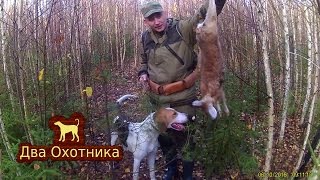 Охота на зайца. Выпуск 4. Сезон 2016-2017.