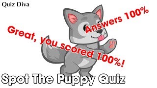 Spot The Puppy Quiz Answers 100% | QuizHelp.Xyz