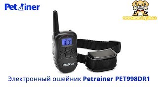 Электронный ошейник для дрессировки собак Petrainer PET998DR