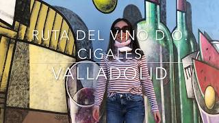 Ruta del Vino de Valladolid - D.O. Cigales
