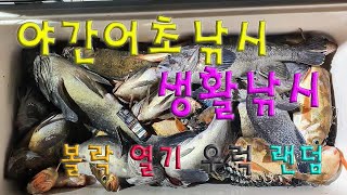 직산앞바다 #생활낚시  야간 어초낚시  #열기 #가자미 #우럭 #볼락 라이트한 랜덤박스 게임