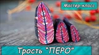 Кейн "ПЕРО" из полимерной глины  ❤ Мастер-класс ❤ Polymer clay tutorial
