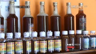 Ragam Khasiat Madu Dari Tawon Lanceng - NET YOGYA