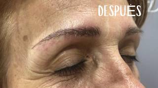Micropigmentación de Cejas | Ella's Zaragoza