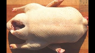 Как быстро и легко ощипать утку,гуся и крупную птицу