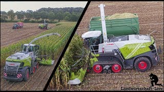 Claas Jaguar 960 TT | Terra Trac | Vorführtour 2019 | Agravis | Maishäckseln Schrey&Lendermann