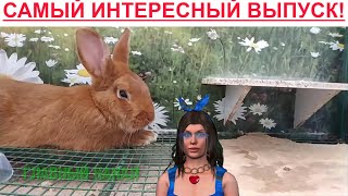 Михаил Веллер : расскажу ПОСЛЕДНЕЕ что перевернёт вам мозг! А Александр Невзоров и Юлия Латынина?