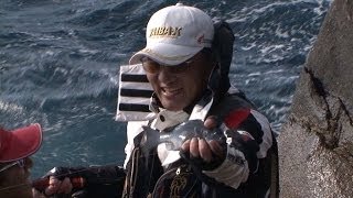寒グレシーズン到来！新鹿の磯でフカセ釣り /四季の釣り/2014年1月10日OA