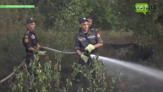 Спасательные самолеты, поезд и более 100 пожарных: крупный лесной пожар на Харьковщине