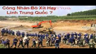 Nhạc chế Phố Đêm - Hồ Chí Minh Tội Đồ Nhân Dân