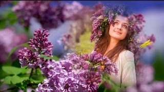 Сиреневый рай-Проект ProShow Producer