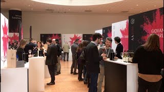 Anteprima Amarone 2016, il re della Valpolicella in Gran Guardia