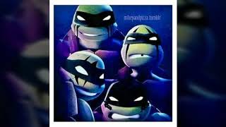TMNT Mikeys shell