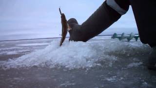 Кубенское озеро. Сяма. 19.12.13г.