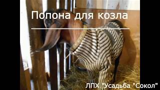 Попона для козла - с чего начать? Обмеры. Выкройка.