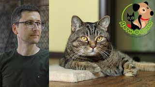 21.12.19  Ветеринар Сергей и кот Сэмыч в прямом эфире отвечаем на вопросы о собаках и кошках