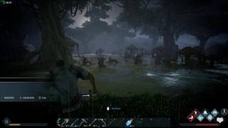 Dark and Light | Shot with GeForce GTX